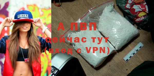 apvp Осташков