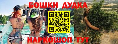 мяу мяу мука Аргун