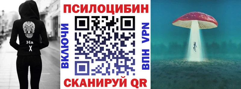 Галлюциногенные грибы Magic Shrooms Борзя