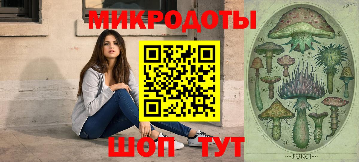 Галлюциногенные грибы Psilocybe Борзя
