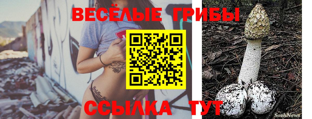 Галлюциногенные грибы прущие грибы  даркнет сайт  Борзя 