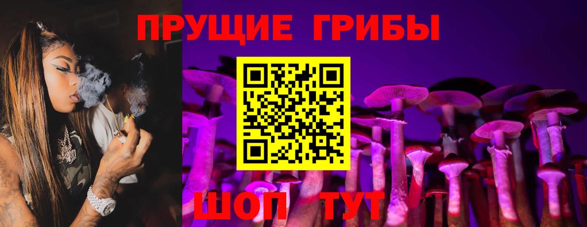 Галлюциногенные грибы Psilocybe  купить наркоту  Борзя  Вход с VPN 